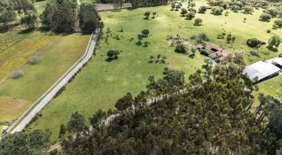 Terrain à Souto da Carpalhosa e Ortigosa de 161 861 m²