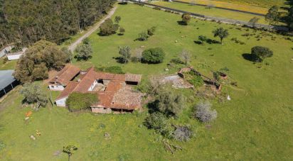 Terrain à Souto da Carpalhosa e Ortigosa de 161 861 m²