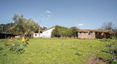 Terrain à Souto da Carpalhosa e Ortigosa de 161 861 m²