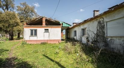 Terrain à Souto da Carpalhosa e Ortigosa de 161 861 m²