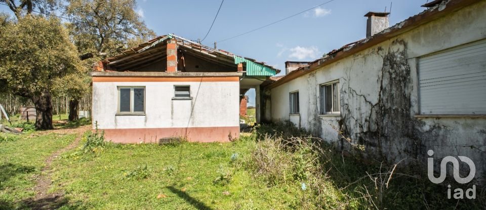 Land in Souto da Carpalhosa e Ortigosa of 161,861 m²