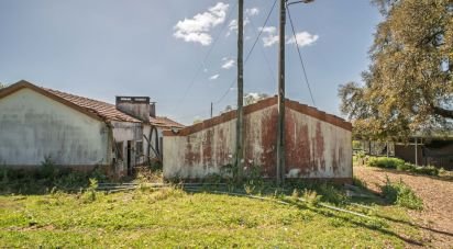 Terrain à Souto da Carpalhosa e Ortigosa de 161 861 m²