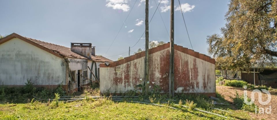 Land in Souto da Carpalhosa e Ortigosa of 161,861 m²