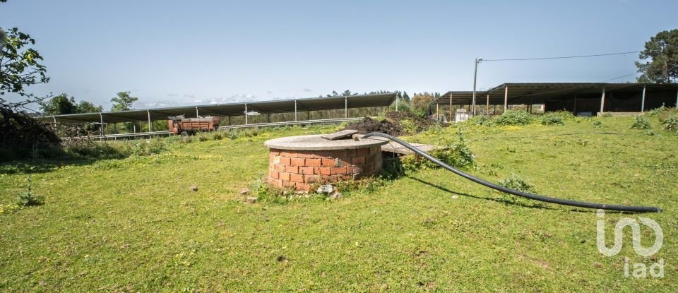 Land in Souto da Carpalhosa e Ortigosa of 161,861 m²