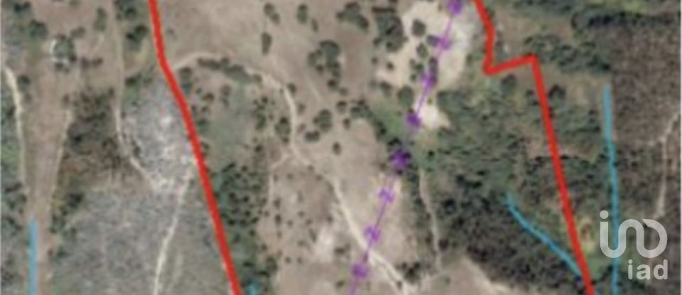 Land in Souto da Carpalhosa e Ortigosa of 161,861 m²