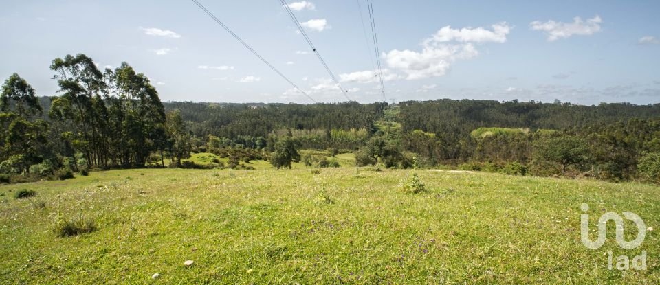 Land in Souto da Carpalhosa e Ortigosa of 161,861 m²