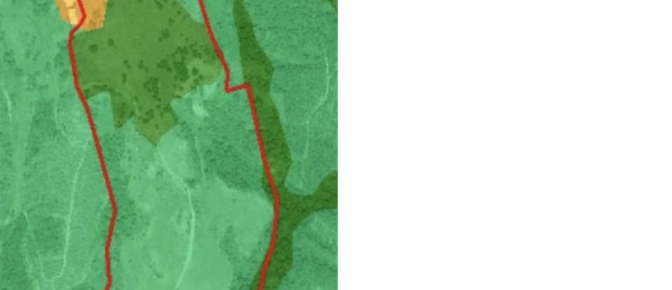 Land in Souto da Carpalhosa e Ortigosa of 161,861 m²