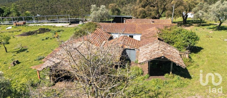 Land in Souto da Carpalhosa e Ortigosa of 161,861 m²