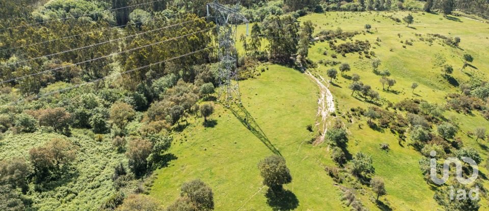 Land in Souto da Carpalhosa e Ortigosa of 161,861 m²