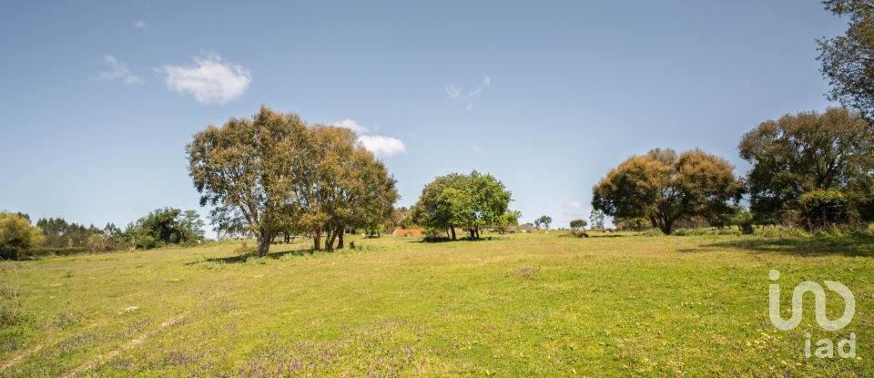 Land in Souto da Carpalhosa e Ortigosa of 161,861 m²