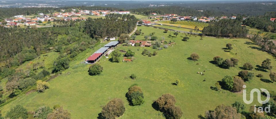 Land in Souto da Carpalhosa e Ortigosa of 161,861 m²