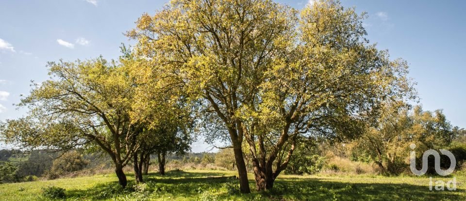 Land in Souto da Carpalhosa e Ortigosa of 161,861 m²