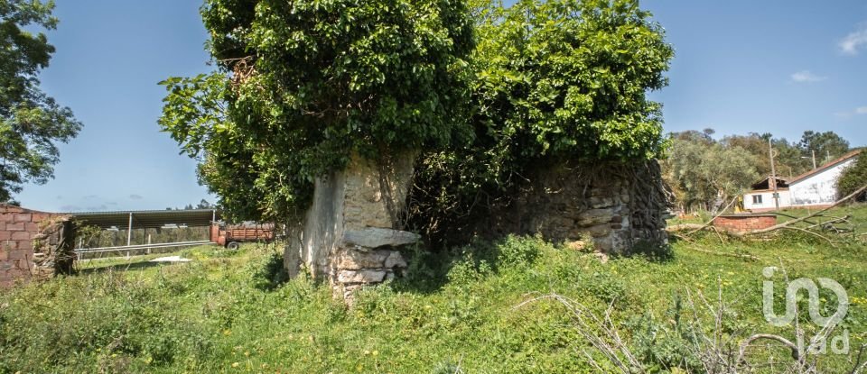 Land in Souto da Carpalhosa e Ortigosa of 161,861 m²