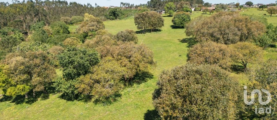Land in Souto da Carpalhosa e Ortigosa of 161,861 m²