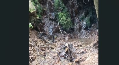 Terrain à Monchique de 22 000 m²