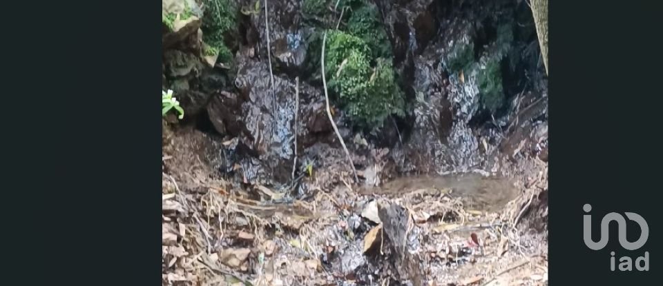 Land in Monchique of 22,000 m²