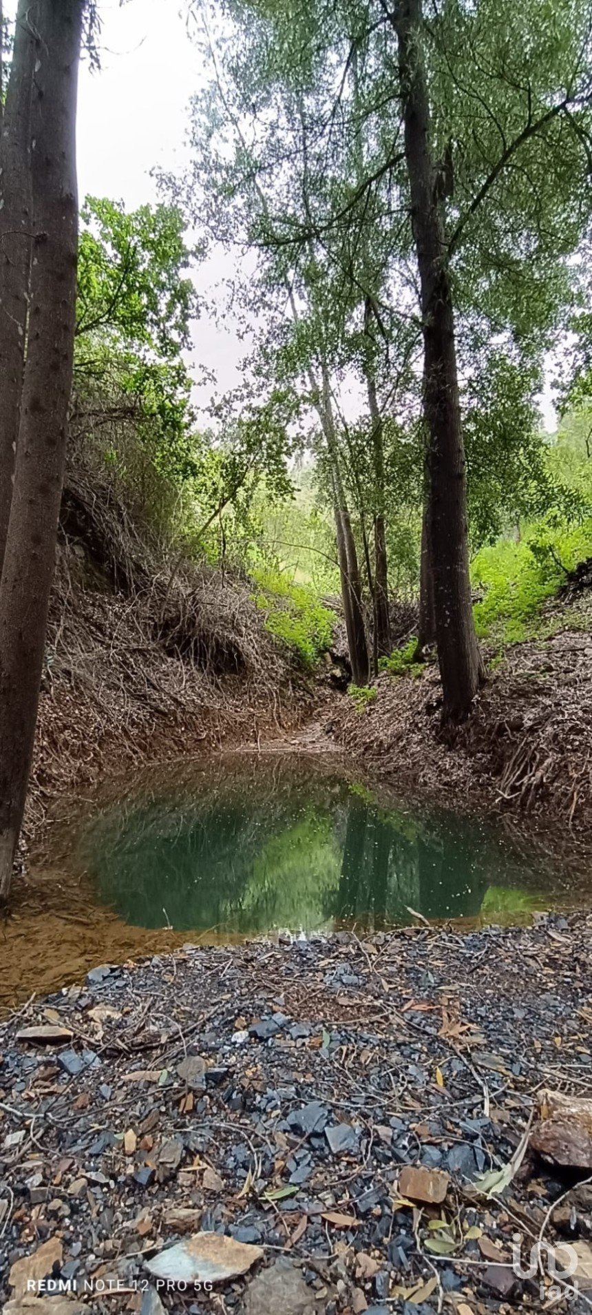 Land in Monchique of 22,000 m²