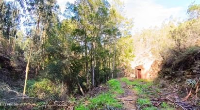 Terrain à Monchique de 22 000 m²