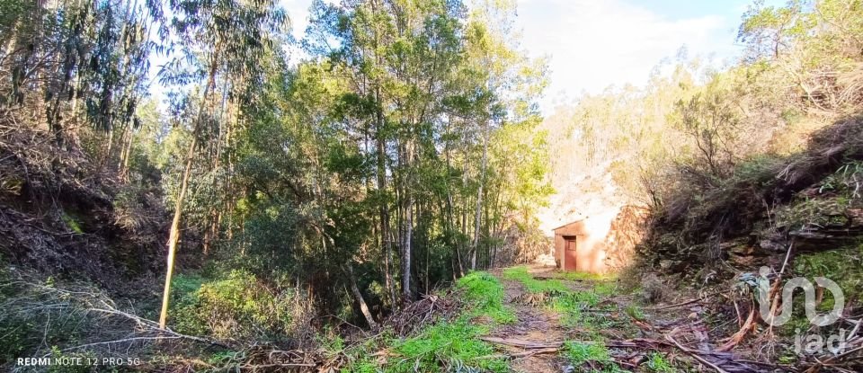 Land in Monchique of 22,000 m²