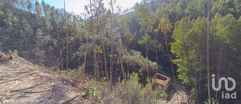 Land in Monchique of 22,000 m²