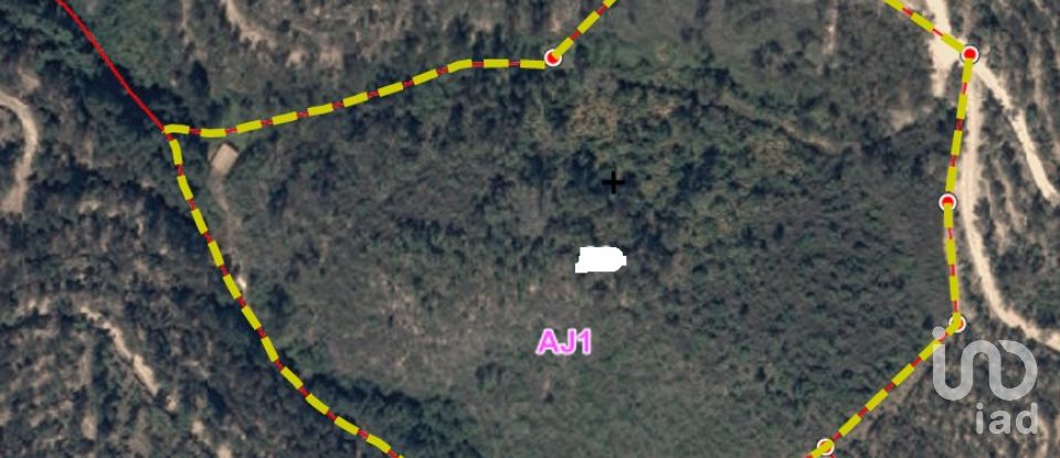 Land in Monchique of 22,000 m²