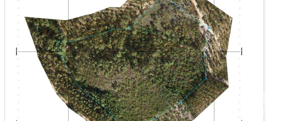 Land in Monchique of 22,000 m²