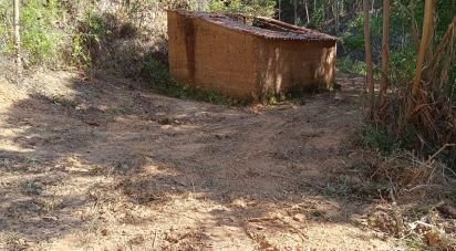 Terrain à Monchique de 22 000 m²