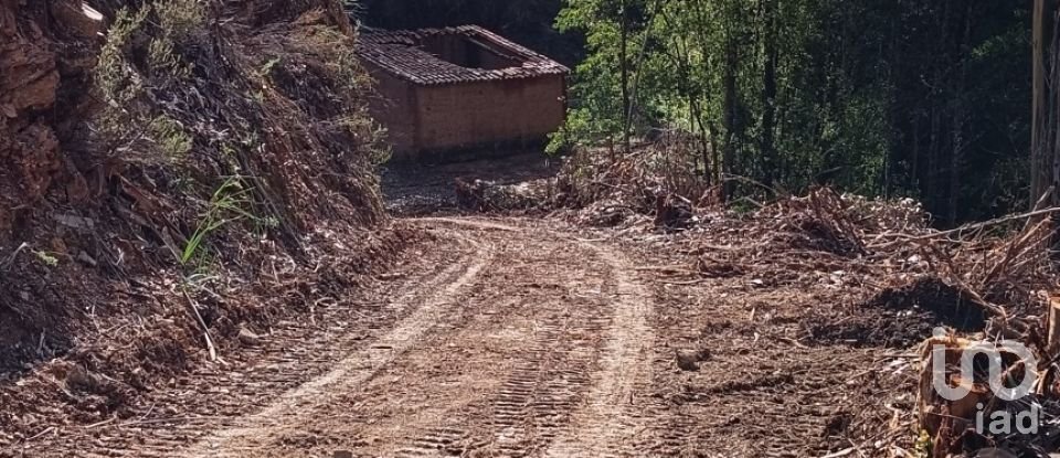 Land in Monchique of 22,000 m²