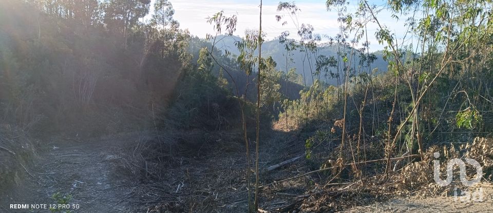 Land in Monchique of 22,000 m²