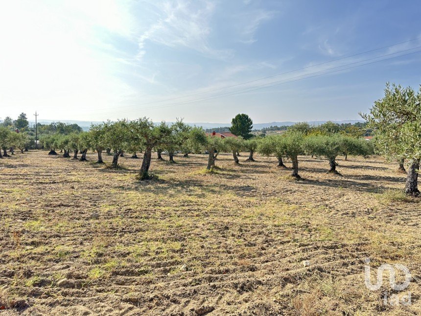 Terrain à Açores e Velosa de 49 492 m²