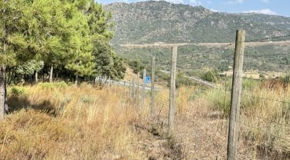 Terrain à Açores e Velosa de 49 492 m²