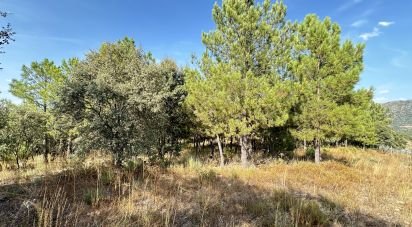 Terrain à Açores e Velosa de 49 492 m²