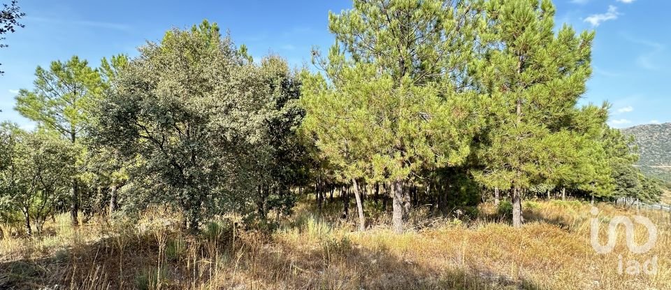 Terrain à Açores e Velosa de 49 492 m²