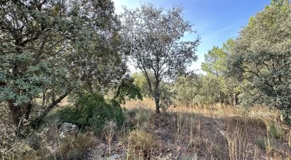 Terrain à Açores e Velosa de 49 492 m²