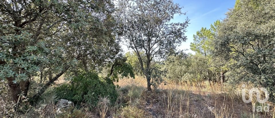 Terrain à Açores e Velosa de 49 492 m²