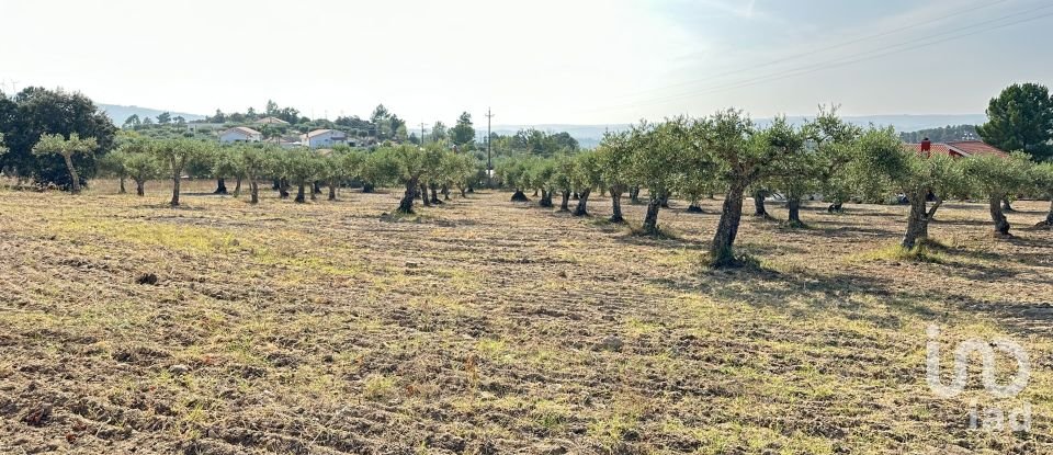 Terrain à Açores e Velosa de 49 492 m²