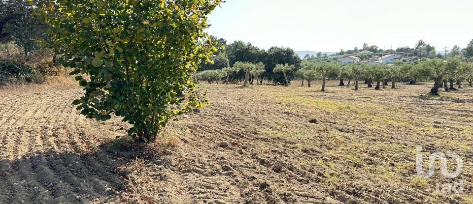 Terrain à Açores e Velosa de 49 492 m²