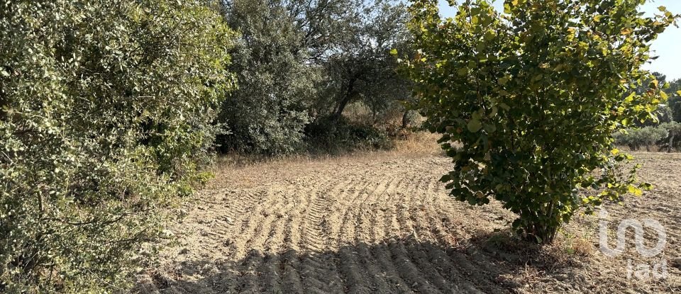 Terrain à Açores e Velosa de 49 492 m²