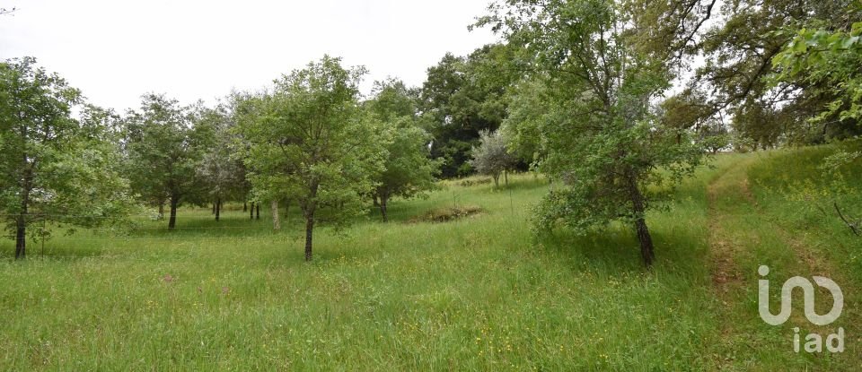 Village house T5 in Ansião of 232 m²