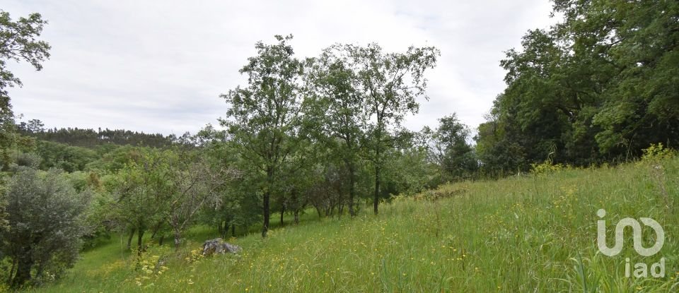 Village house T5 in Ansião of 232 m²