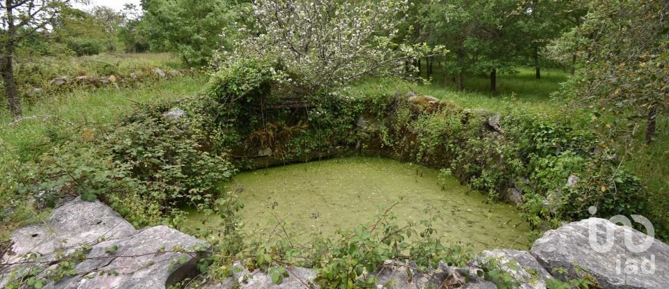 Village house T5 in Ansião of 232 m²