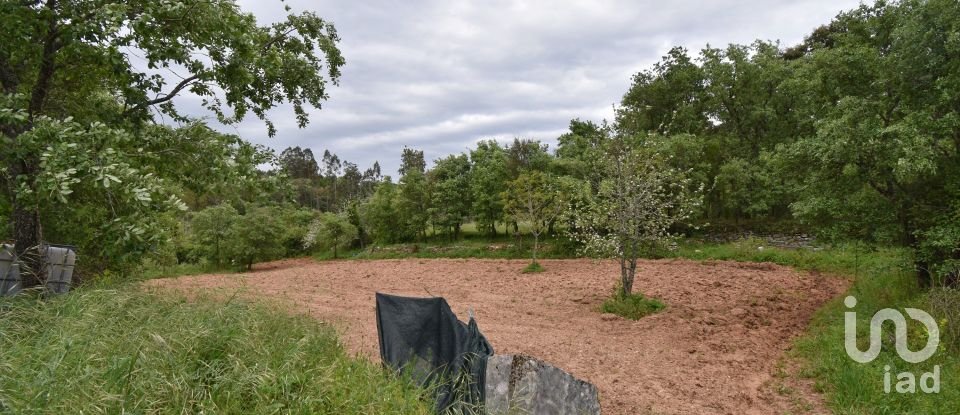 Village house T5 in Ansião of 232 m²