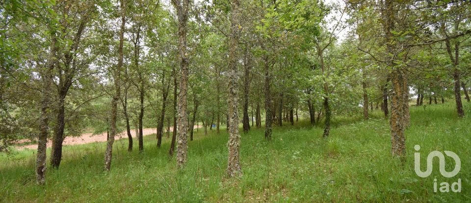 Village house T5 in Ansião of 232 m²