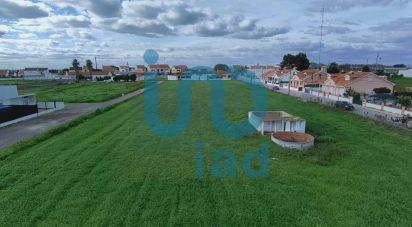 Terrain à Atalaia E Alto Estanqueiro-Jardia de 8 253 m²