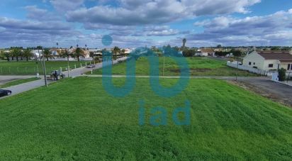 Terrain à Atalaia E Alto Estanqueiro-Jardia de 8 253 m²