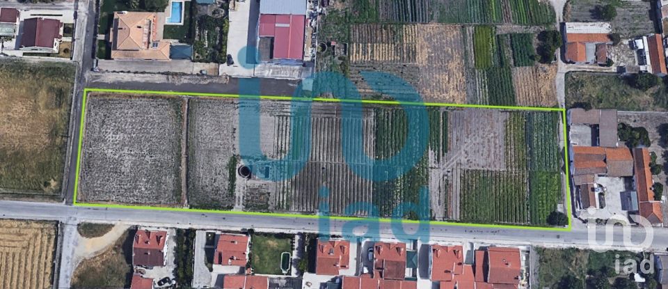 Terrain à Atalaia E Alto Estanqueiro-Jardia de 8 253 m²