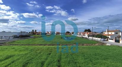 Terrain à Atalaia E Alto Estanqueiro-Jardia de 8 253 m²