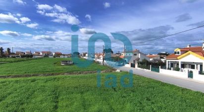 Terrain à Atalaia E Alto Estanqueiro-Jardia de 8 253 m²