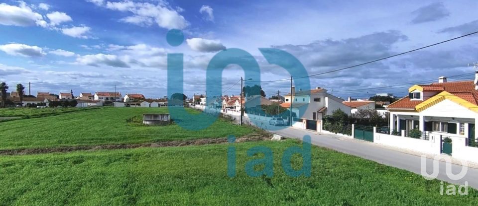 Terrain à Atalaia E Alto Estanqueiro-Jardia de 8 253 m²