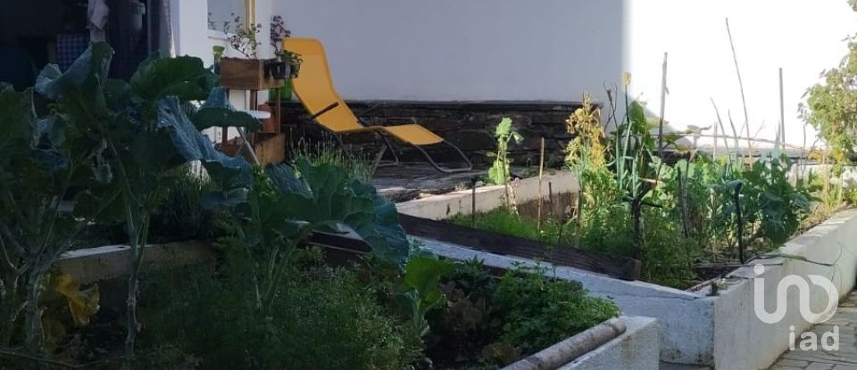 House T5 in Proença-a-Nova e Peral of 400 m²